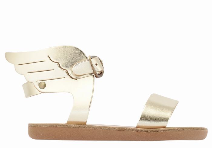 Sandales Casual Ancient Greek Sandals Little Ikaria Soft   | LSW-0203813